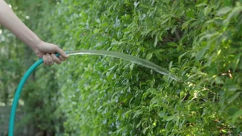 شیلنگ آبیاری باغ کاربرد حرفه ای گلخانه مدرن